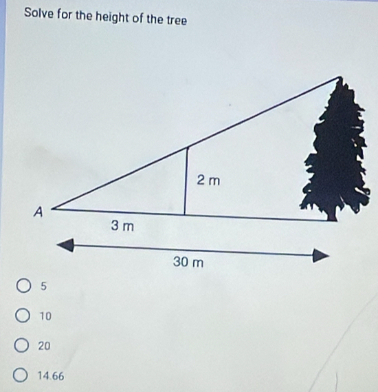 Solve for the height of the tree
10
20
14.66