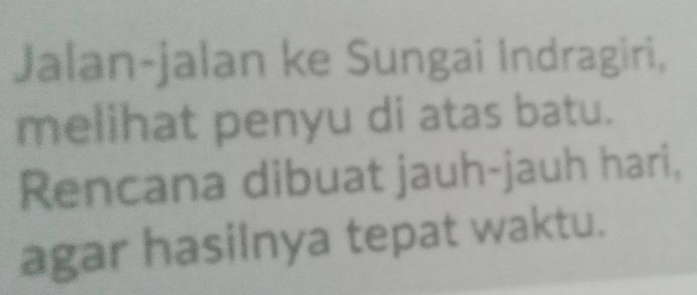 Jalan-jalan ke Sungai Indragiri, 
melihat penyu di atas batu. 
Rencana dibuat jauh-jauh hari, 
agar hasilnya tepat waktu.