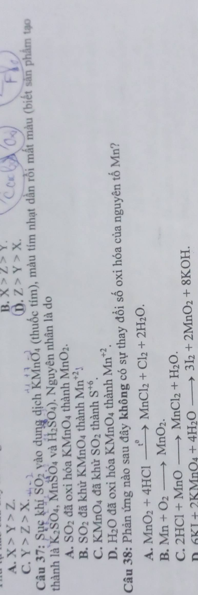 A. X>Y>Z.
B. X>Z>Y.
C. Y>Z>X.
①. Z>Y>X. 
Câu 37: Sục khí SO2 yào dụng dịch KMnO4 (thuốc tím), màu tím nhạt dần rồi mất màu (biết sản phẩm tạo
thành là K_2SO_4, MnSO_4 và H_2SO_4). Nguyên nhân là do
A. SO_2 đã oxi hóa KMnO4 thành MnO_2.
B. SO_2 đã khử KMnO_4 thành Mn^(+2)!
C. KMnO_4 đã khử SO_2 thành S^(+6).
D. H_2O đã 0xi hóa KMnO4 thành Mn^(+2). 
Câu 38: Phản ứng nào sau đây không có sự thay đổi số oxi hóa của nguyên tố Mn?
A. MnO_2+4HClxrightarrow t^0MnCl_2+Cl_2+2H_2O.
B. Mn+O_2to MnO_2.
C. 2HCl+MnOto MnCl_2+H_2O.
n 6KI+2KMnO_4+4H_2Oto 3I_2+2MnO_2+8KOH.