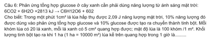 Phản ứng tổng hợp glucose ở cây xanh cần phải dùng năng lượng từ ánh sáng mặt trời:
6CO2+6H2O+2813 kJ→ C H12O6+602
Cho biết: Trong một phút 1cm^2 lá lúa hấp thụ được 2,09 J năng lượng mặt trời, 10% năng lượng đó 
được dùng vào phản ứng tổng hợp glucose và 10% glucose được tạo ra chuyển thành tinh bột. Mỗi 
khóm lúa có 20 lá xanh, mỗi lá xanh có 5cm^2 quang hợp được; mật độ lúa là 100 khóm /1m^2 *. Khối 
lượng tinh bột tạo ra khi 1 ha (1ha=10000m^2) lúa kể trên quang hợp trong 1 giờ là_