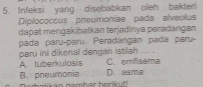 Infeksi yang disebabkan oleh bakteri
Diplococcus pneumoniae pada alveolus
dapat mengakibatkan terjadinya peradangan
pada paru-paru. Peradangan pada paru-
paru ini dikenal dengan istilah __- -
A. tuberkulosis C. emfisema
B. pneumonia D. asma
Berbatikan gambar berik t!