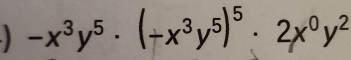 -x^3y^5· (-x^3y^5)^5· 2x^0y^2