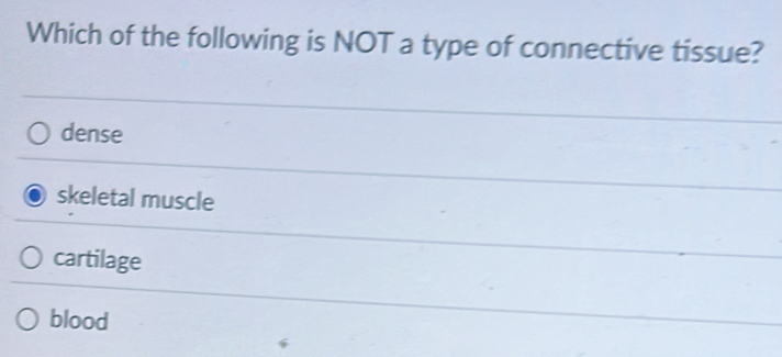 Which of the following is NOT a type of connective tissue?
dense
skeletal muscle
cartilage
blood