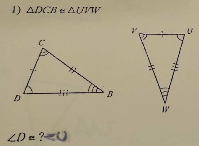 △ DCB≌ △ UVW
∠ D≌ ?