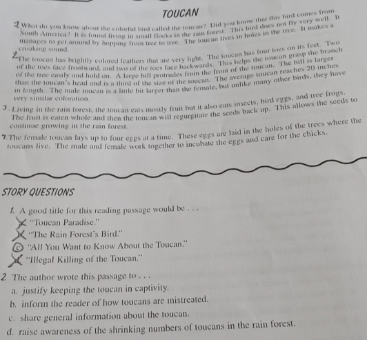 TOUCAN 
What do you know about the colorful bird called the toucan? Did you know that this bird comes from 
South America? It is found living in small flocks in the rain forest. This bird does not fly very well. It 
manages to get around by hopping from tree to tree. The touean lives in holes in the tree. It makes a 
croaking sound. 
The toucan has brightly colored feathers that are very light. The touean has four toes on its feet. Two 
of the toes face frontward, and two of the toes face backwards. This helps the toucan grasp the branch 
of the tree easily and hold on. A large bill protrudes from the front of the toucan. The bill is large 
than the toucan's head and is a third of the size of the toucan. The average toucan reaches 20 inches
in length. The male toucan is a little bit larger than the female, but unlike many other birds, they have 
very similar coloration. 
3. Living in the rain forest, the toucan eats mostly fruit but it also eats insects, bird eggs, and tree frogs. 
The fruit is eaten whole and then the toucan will regurgitate the seeds back up. This allows the seeds to 
continue growing in the rain forest. 
7The female toucan lays up to four eggs at a time. These eggs are laid in the holes of the trees where the 
toucans live. The male and female work together to incubate the eggs and eare for the chicks. 
STORY QUESTIONS 
. A good title for this reading passage would be . . . 
''Toucan Paradise.'' 
'The Rain Forest’s Bird.” 
O “All You Want to Know About the Toucan.' 
'Illegal Killing of the Toucan.' 
2 The author wrote this passage to . . 
a. justify keeping the toucan in captivity. 
b. inform the reader of how toucans are mistreated. 
c. share general information about the toucan. 
d. raise awareness of the shrinking numbers of toucans in the rain forest.