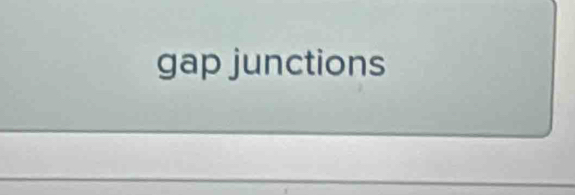 gap junctions