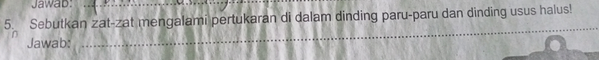 Jawab:_ 
5. Sebutkan zat-zat mengalami pertukaran di dalam dinding paru-paru dan dinding usus halus! 
Jawab: 
_