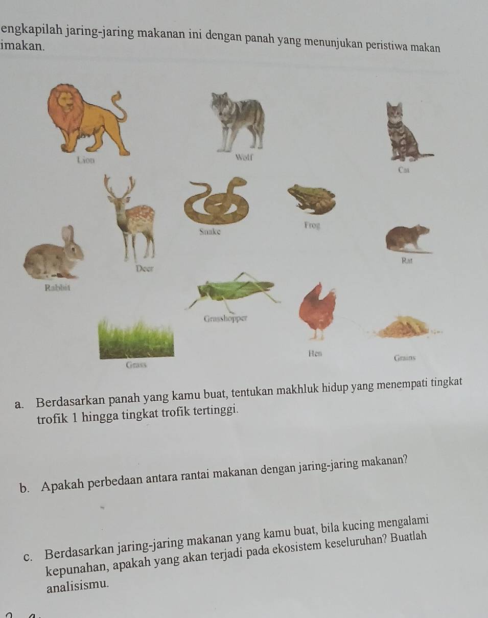 engkapilah jaring-jaring makanan ini dengan panah yang menunjukan peristiwa makan 
imakan. 
a. Berdasarkan panah yang kamu buat, tentukan makhluk hidup yang menempati tingkat 
trofik 1 hingga tingkat trofik tertinggi. 
b. Apakah perbedaan antara rantai makanan dengan jaring-jaring makanan? 
c. Berdasarkan jaring-jaring makanan yang kamu buat, bila kucing mengalami 
kepunahan, apakah yang akan terjadi pada ekosistem keseluruhan? Buatlah 
analisismu.