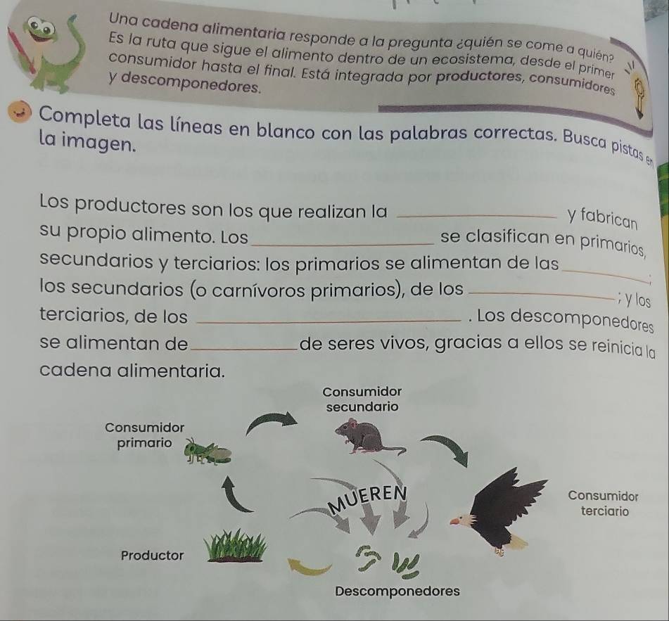 Una cadena alimentaria responde a la pregunta ¿quién se come a quién? 
Es la ruta que sigue el alimento dentro de un ecosistema, desde el prímer 
consumidor hasta el final. Está integrada por productores, consumidores 
y descomponedores. 
Completa las líneas en blanco con las palabras correctas. Busca pistas en 
la imagen. 
Los productores son los que realizan la_ 
y fabrican 
su propio alimento. Los_ 
se clasifican en primarios, 
_ 
secundarios y terciarios: los primarios se alimentan de las 
los secundarios (o carnívoros primarios), de los_ 
;y los 
terciarios, de los_ 
. Los descomponedores 
se alimentan de_ de seres vivos, gracias a ellos se reinicia la 
cadena alimentaria.