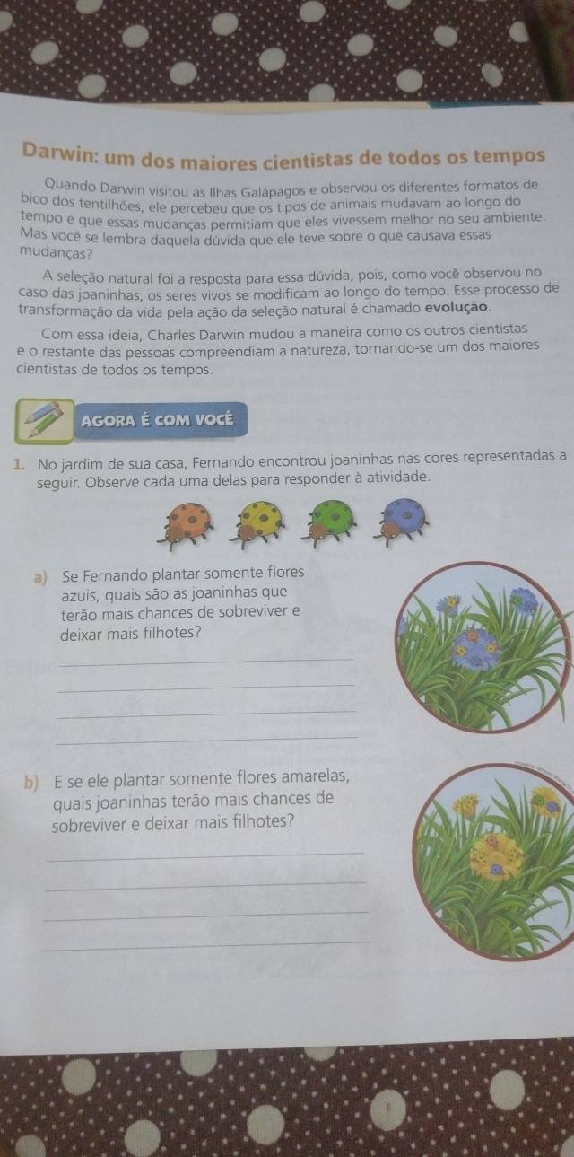 Darwin: um dos maiores cientistas de todos os tempos 
Quando Darwin visitou as Ilhas Galápagos e observou os diferentes formatos de 
bico dos tentilhões, ele percebeu que os tipos de animais mudavam ao longo do 
tempo e que essas mudanças permitiam que eles vivessem melhor no seu ambiente. 
Mas você se lembra daquela dúvida que ele teve sobre o que causava essas 
mudanças? 
A seleção natural foi a resposta para essa dúvida, pois, como você observou no 
caso das joaninhas, os seres vivos se modificam ao longo do tempo. Esse processo de 
transformação da vida pela ação da seleção natural é chamado evolução. 
Com essa ideia, Charles Darwin mudou a maneira como os outros cientistas 
e o restante das pessoas compreendiam a natureza, tornando-se um dos maiores 
cientistas de todos os tempos. 
AGORA É com você 
1. No jardim de sua casa, Fernando encontrou joaninhas nas cores representadas a 
seguir. Observe cada uma delas para responder à atividade. 
a) Se Fernando plantar somente flores 
azuis, quais são as joaninhas que 
terão mais chances de sobreviver e 
deixar mais filhotes? 
_ 
_ 
_ 
_ 
b) E se ele plantar somente flores amarelas, 
quais joaninhas terão mais chances de 
sobreviver e deixar mais filhotes? 
_ 
_ 
_ 
_