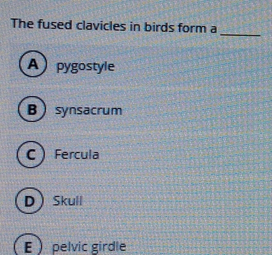 The fused clavicles in birds form a_
A) pygostyle
B synsacrum
C Fercula
DSkull
Epelvic girdle