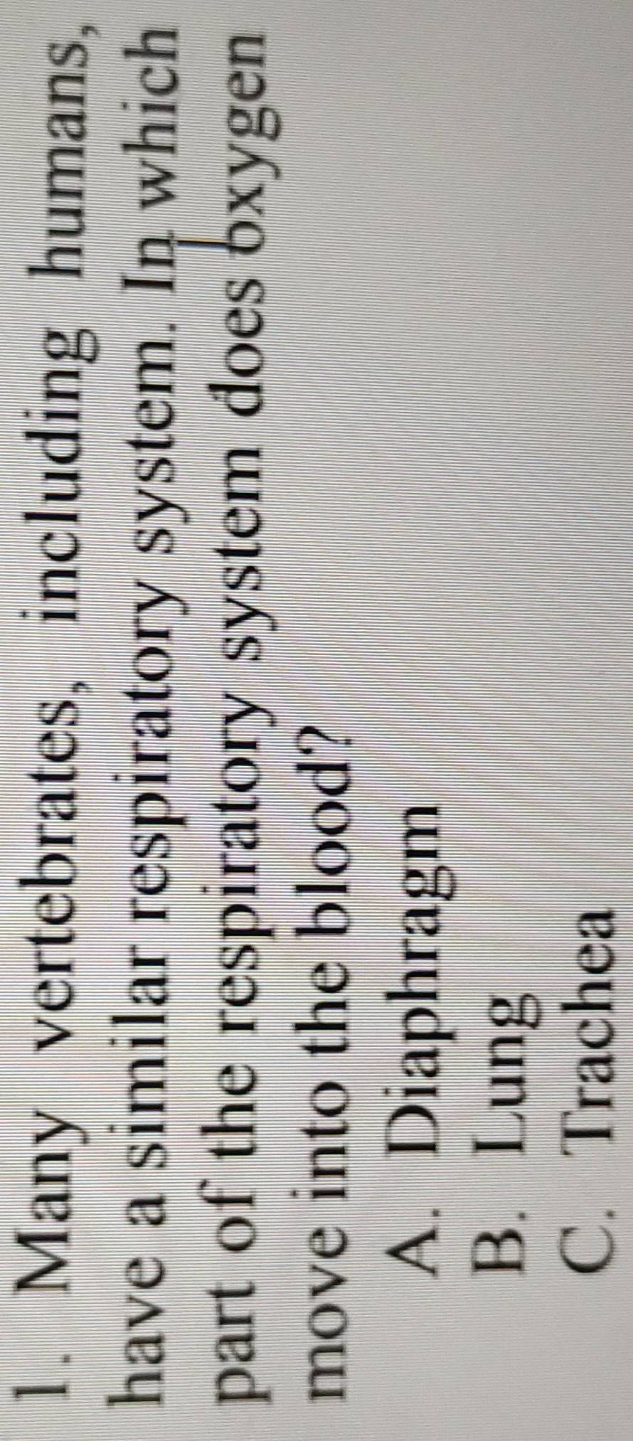 Many vertebrates, including humans,
have a similar respiratory system. In which
part of the respiratory system does bxygen 
move into the blood?
A. Diaphragm
B. Lung
C. Trachea