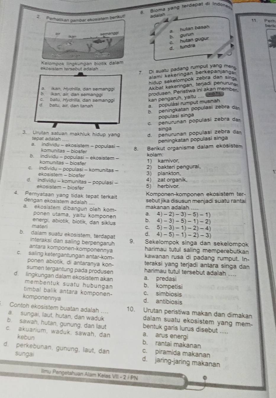 Bioma yang terdapat di Indone
2. Perhalikan gambar ekosistem berkut! adalah       
11 Perh
a hutan basah
bark
semangg
b. gurun
d. tundra c. hutan gugur
Kelompok lingkungan biotik dalam
ekosistem tersebut adalah
7. Di suatu padang rumput yang men
alami kekeringan berkepanjanga
hidup sekelompok zebra dan singa
a. ikan, Hydrilla, dan semanggi
Akibat kekeringan, terjadi penuruña
b. ikan, air, dan semanggi
produsen. Peristiwa ini akan member
c. batu, Hydrilla, dan semanggi
kan pengaruh, yaitu .... CHO7S
d. batu, air, dan tanah
a. populàsi rumput musnah
b. peningkatan populasi zebra da
populasi singa
c. penurunan populasi zebra da
sínga
3. Urutan satuan makhluk hidup yang d. penurunan populasi zebra da
tepat adalah_
peningkatan populasi singa
a. individu - ekosistem - populasi -
8. Berikut organisme dalam ekosistem
komunitas - biosfer
kolam:
b. individu - populasi - ekosistem - 1) karnivor,
komunitas - biosfer 1
c. individu - populasi - komunitas - 2) bakteri pengurai,
ekosistem - biosfer 3) plankton,
d. individu - komunitas - populasi - 4) zat organik,
ekosistem - biosfer 5) herbivor.
Komponen-komponen ekosistem ter-
4. Peryataan yang tidak tepat terkait sebut jika disusun menjadí suatu rantai
dengan ekosistem adalah ....
a. ekosistem dibangun oleh kom- makanan adalah ....
ponen utama, yaitu komponen
a. 4)-2)-3)-5)-1)
b. 4)-3)-5)-1)-2)
energi, abiotik, biotik, dan siklus
materi
C、 5)-3)-1)-2)-4)
d、 4)-5)-1)-2)-3)
b. dalam suatu ekosistem, terdapat 9. Sekelompok singa dan sekelompok
interaksi dan saling berpengaruh
antara komponen-komponennya harimau tutul saling memperebutkan
c. salling ketergantungan antar-kom- kawanan rusa di padang rumput. In-
ponen abiotik, di antaranya kon- teraksi yang terjadi antara singa dan
sumen tergantung pada produsen
harimau tutul tersebut adalah ....
d. lingkungan dalam ekosistem akan a. predasi
membentuk suatu hubungan b. kompetisi
timbal balik antara komponen- c. simbiosis
komponennya d. antibiosis
Contoh ekosistem buatan adalah .... 10. Urutan peristiwa makan dan dimakan
a sungai, laut, hutan, dan waduk
dalam suatu ekosistem yang mem-
b. sawah, hutan, gunung, dan laut
bentuk garis lurus disebut ....
c. akuarium, waduk, sawah, dan
kebun
a. arus energi
b. rantai makanan
d. perkebunan, gunung, laut, dan
sungai
c. piramida makanan
d. jaring-jaring makanan
llmu Pengetahuan Alam Kelas VII - 2 / PN