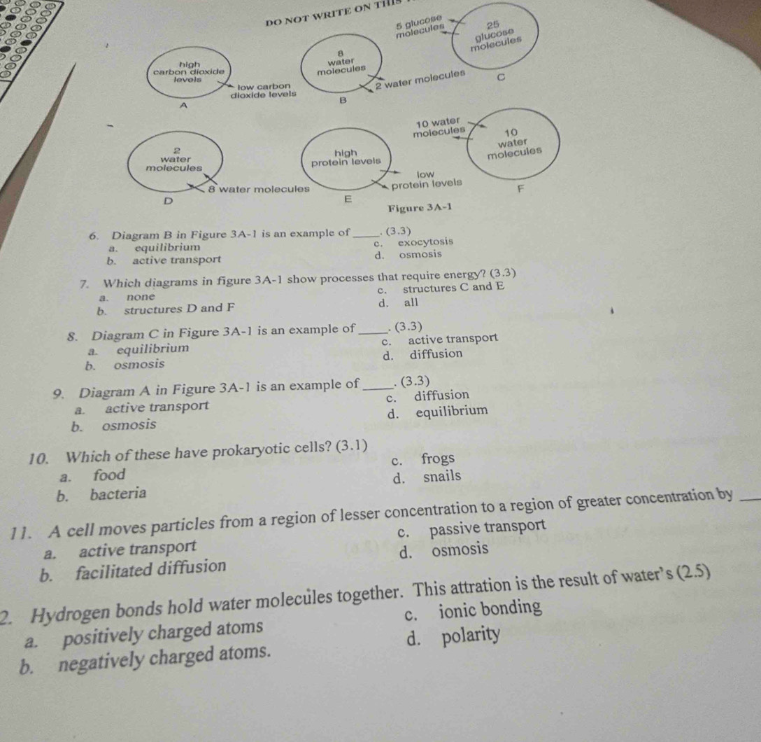 at
100
DO NOT WRITE ON Tills
25
28º
molecules 5 glucose
molecules glucose
8
high
carbon dioxide
molecules water
2 water molecules C
levels
low carbon
dioxide levels B
A
molecules 10 water
10
2
water high
molecules water
molecules protein levels
low
protein levels
8 water molecules F
D
E
Figure 3 A-1 
6. Diagram B in Figure 3A-1 is an example of _ (3.3)
a. equilibrium
c. exocytosis
b. active transport d. osmosis
7. Which diagrams in figure 3A-1 show processes that require energy? (3.3)
a. none c. structures C and E
b. structures D and F d. all
8. Diagram C in Figure 3A-1 is an example of _. (3.3)
a. equilibrium c. active transport
b. osmosis d. diffusion
9. Diagram A in Figure 3A-1 is an example of _. (3.3)
a. active transport c. diffusion
b. osmosis d. equilibrium
10. Which of these have prokaryotic cells? (3.1)
a. food c. frogs
b. bacteria d. snails
11. A cell moves particles from a region of lesser concentration to a region of greater concentration by_
a. active transport c. passive transport
b. facilitated diffusion d. osmosis
2. Hydrogen bonds hold water molecules together. This attration is the result of water’s (2.5)
a. positively charged atoms c. ionic bonding
b. negatively charged atoms. d. polarity