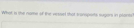 What is the name of the vessel that transports sugars in plants?