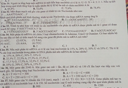 A. 2 B. 3
Câu 31. Người ta tổng hợp một mRNA từ một hỗn hợp nuclêôtit có tỉ lệ A: U: G - X=4:3:2:1. Nếu sự kết
hợp trong quá trình tổng hợp là ngẫu nhiên thi tỷ lệ bộ ba mã có chứa nuclêôtít A là:
A. 65,8% B. 52,6% C. 72,6% D. 78,4%
Câu 32. Một đoạn mạch mã gốc của gene có trình tự các Nucleotide như sau:
3''. AAATTGAGC.5
#Biết quá trình phiên mã bình thường, trình tự các Nucleotide của đoạn mRNA tương ứng là
A.5ºUUUAAXUCG…3 B. 3' ∴GCUCAAUUU.5C.
5^3 TTTAACTGG.3' D. 5° TITA ACTCG.3
Câu 33. Trình tự phù hợp với trình tự các nucleotide của phân từ mRNA được phiên mã từ 1 gene có đoạn
mạch bổ sung 5° AGCTTAGCA 3'' là:
A. 3 UCGAAÚCGUS' B. 3' AGCUUAGCA5° C. 5^t UCGAAUCG 3° D. 5' AGCUUAGCA3
Câu 34. Một phân tử mRNA chỉ chứa 3 loại ribonucleotide là Adenine, Uracil và Guanine. Có bao nhiêu bộ
ba sau đây có thể có trên mạch bổ sung của gene đã phiên mã ra mRNA nói trên?
(1) ATC, (2) GCA, (3) TAG,
(4) AAT, (5) AAA, (6) TCC. C. 3 D. 5
A. 4 B. 2
Câu 35. Nếu một phân tử mRNA có tỉ lệ các loại nucleotide là 15% A, 20% G, 30% U và 35% C. Thì tỉ lệ
% các loại nucleotide trong phân từ DNA phiên mã nên mRNA đó là bao nhiêu?
A. 15% A, 20% C, 30% T, 35% G
B. 22,5% T, 22,5% A, 27,5% G, 27,5% C.
C. 17,5 % G, 17,5% A, 32,5% T, 32,5% C.
D. 35% G, 20% C, 30% A, 15% T.
Câu 36. Một gene dài 2040 Á. Khi gene sao mã 1 lần, đã có 200 rG và 150 rX lần lượt vào tiếp xúc với
mạch gốc. Sổ lượng từng loại Nucleotide của gene nói trên là
A. A=T=G=C=300 B. A=T=G=C=600
C. A=T=250 và G=C=350 D. A=T=350 và G=C=250
Cầu 37. Một gene của Vi khuẩn dài 510 (nm), mạch 1 có A1: T1: C 1: X1=1:2:3:4. Gene phiên mã tạo ra
một mRNA có nucleotide loại A là 150. Số nucleotide loại G môi trường cung cấp cho quá trình phiên mã là D. 1200
A. 600 B. 900 C. 450