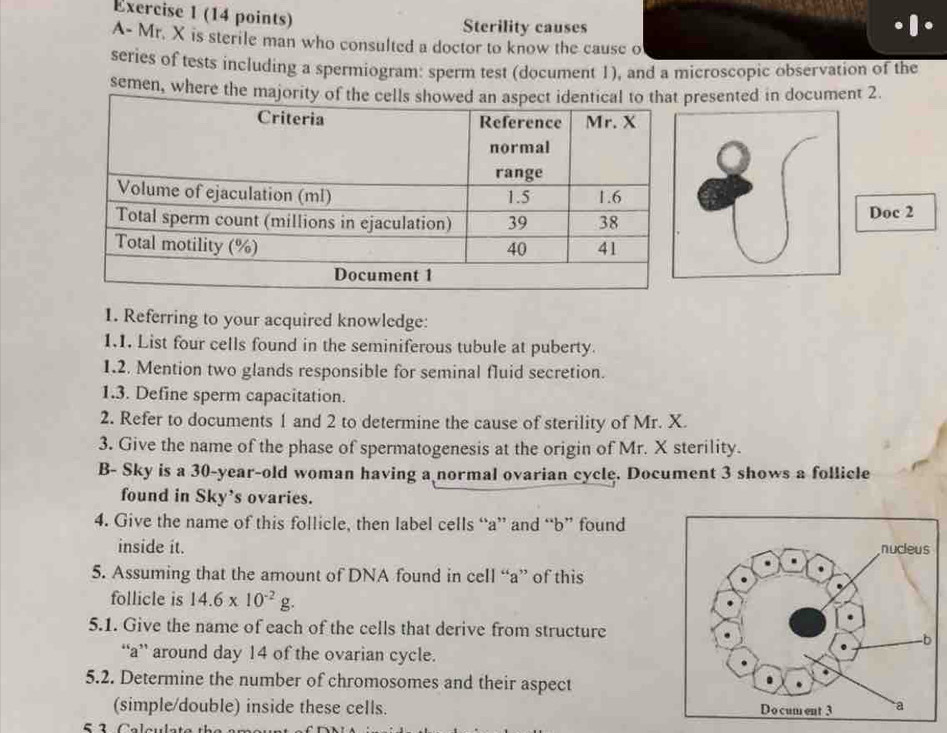 Sterility causes 
A- Mr. X is sterile man who consulted a doctor to know the cause o 
series of tests including a spermiogram: sperm test (document 1), and a microscopic observation of the 
semen, where the resented in document 2 
Doc 2 
1. Referring to your acquired knowledge: 
1.1. List four cells found in the seminiferous tubule at puberty. 
1.2. Mention two glands responsible for seminal fluid secretion. 
1.3. Define sperm capacitation. 
2. Refer to documents 1 and 2 to determine the cause of sterility of Mr. X. 
3. Give the name of the phase of spermatogenesis at the origin of Mr. X sterility. 
B- Sky is a 30-year -old woman having a normal ovarian cycle. Document 3 shows a follicle 
found in Sky’s ovaries. 
4. Give the name of this follicle, then label cells “a” and “b” found 
inside it. 
5. Assuming that the amount of DNA found in cell “a” of this 
follicle is 14.6* 10^(-2)g. 
5.1. Give the name of each of the cells that derive from structure 
“a” around day 14 of the ovarian cycle. 
5.2. Determine the number of chromosomes and their aspect 
(simple/double) inside these cells.