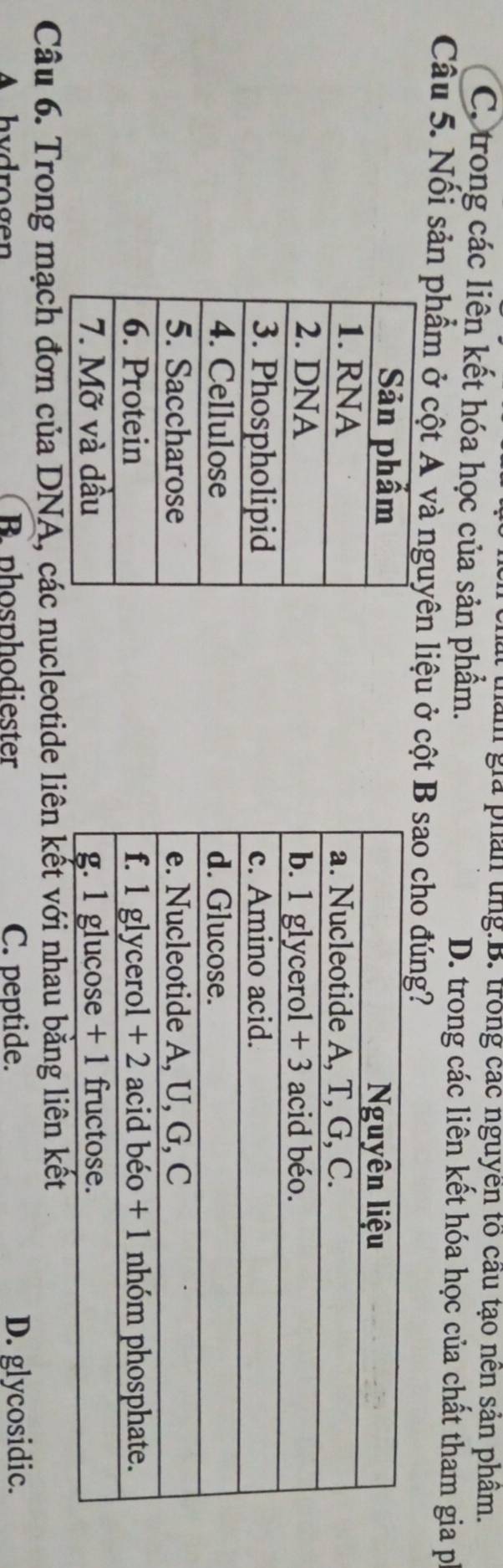 thăm giả phân ung.B. trong các nguyên tố cầu tạo nên sản phẩm.
C. trong các liên kết hóa học của sản phẩm. D. trong các liên kết hóa học của chất tham gia ph
Câu 5. Nối sản phẩm ở cột A và nguyên liệu ở cột B sao cho đúng?






Câu 6. Trong mạch đơn của DNA, các nucleotide liên kết với nhau bằng liên kết
A h y d ro gen Bephosphodiester C. peptide. D. glycosidic.