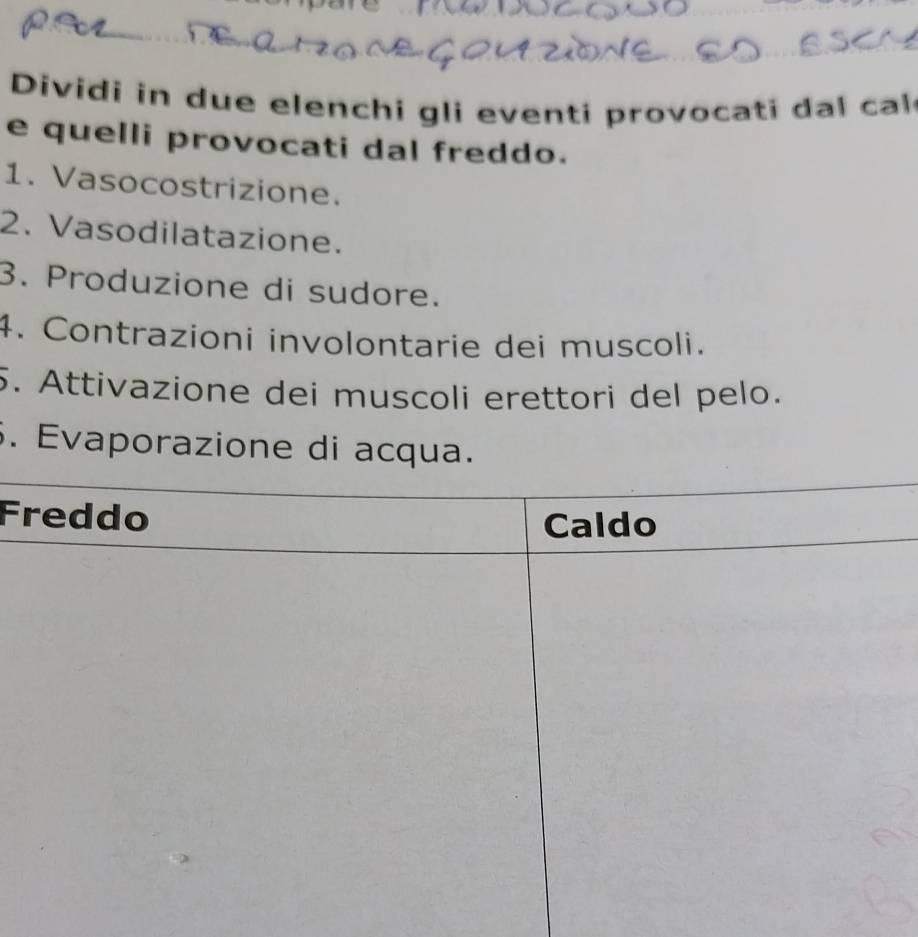 Dividi in due elenchi gli eventi provoca ti d cal 
e quelli provocati dal freddo. 
1. Vasocostrizione. 
2. Vasodilatazione. 
3. Produzione di sudore. 
4. Contrazioni involontarie dei muscoli. 
5. Attivazione dei muscoli erettori del pelo. 
. Evaporazione di acqua. 
F