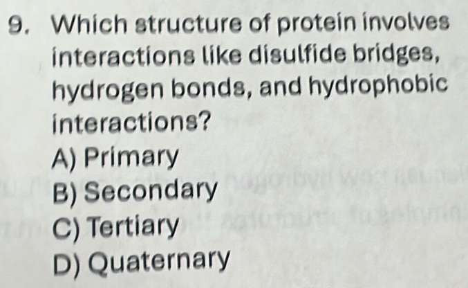 Which structure of protein involves
interactions like disulfide bridges,
hydrogen bonds, and hydrophobic
interactions?
A) Primary
B) Secondary
C) Tertiary
D) Quaternary