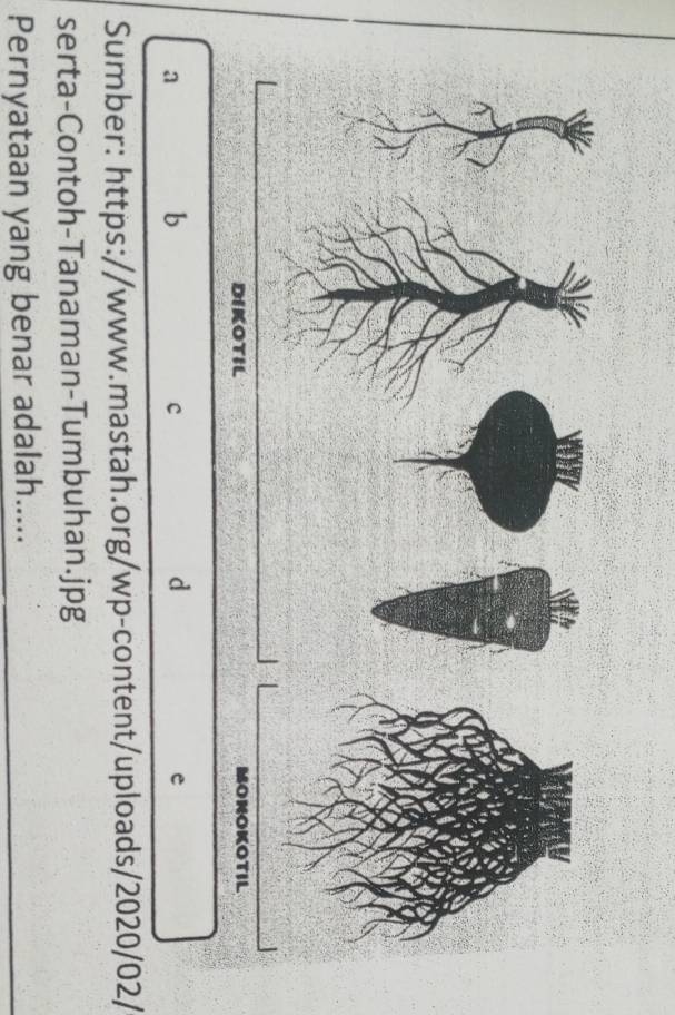 a 
b 
c 
d 
e 
Sumber: https://www.mastah.org/wp-content/uploads/2020/02/ 
serta-Contoh-Tanaman-Tumbuhan.jpg 
Pernyataan yang benar adalah.....