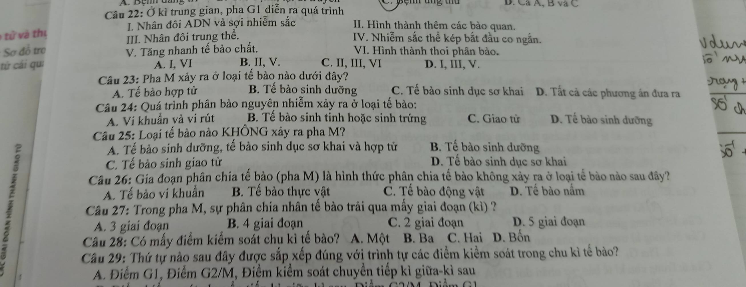 Ca A, B và C
Câu 22: Ở kì trung gian, pha G1 diễn ra quá trình
I. Nhân đôi ADN và sợi nhiễm sắc II. Hình thành thêm các bào quan.
tử và thị
III. Nhân đôi trung thể. IV. Nhiễm sắc thể kép bắt đầu co ngắn.
V. Tăng nhanh tế bào chất.
Sơ đồ tro VI. Hình thành thoi phân bào.
tứ cái qu: A. I, VI B. II, V. C. II, III, VI D. I, III, V.
Câu 23: Pha M xảy ra ở loại tế bào nào dưới đây?
B. Tế bào sinh dưỡng
A. Tế bào hợp tử C. Tế bào sinh dục sơ khai D. Tất cả các phương án đưa ra
Câu 24: Quá trình phân bảo nguyên nhiễm xảy ra ở loại tế bào:
A. Vi khuẩn và vi rút B. Tế bào sinh tinh hoặc sinh trứng C. Giao tử D. Tế bào sinh dưỡng
Câu 25: Loại tế bào nào KHÔNG xảy ra pha M?
A. Tế bào sinh dưỡng, tế bào sinh dục sơ khai và hợp tử B. Tế bào sinh dưỡng
C. Tế bào sinh giao tử D. Tế bào sinh dục sơ khai
Câu 26: Gia đoạn phân chia tế bào (pha M) là hình thức phân chia tế bào không xảy ra ở loại tế bào nào sau đây?
A. Tế bào vi khuẩn B. Tế bào thực vật C. Tế bào động vật D. Tế bào nấm
Câu 27: Trong pha M, sự phân chia nhân tế bào trải qua mấy giai đoạn (kì) ?
A. 3 giai đoạn B. 4 giai đoạn C. 2 giai đoạn D. 5 giai đoạn
Câu 28: Có mấy điểm kiểm soát chu kì tế bào? A. Một B. Ba C. Hai D. Bốn
Câu 29: Thứ tự nào sau đây được sắp xếp đúng với trình tự các điểm kiểm soát trong chu kì tế bảo?
A. Điểm G1, Điểm G2/M, Điểm kiểm soát chuyển tiếp kì giữa-kì sau