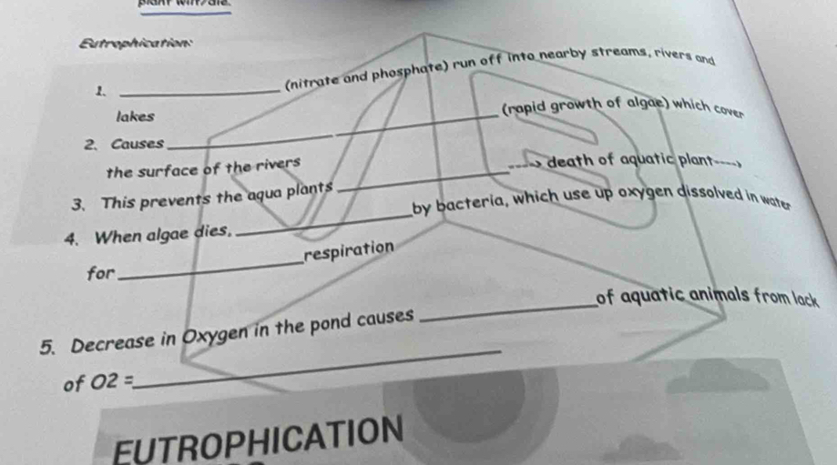 Eutrophication: 
1. _(nitrate and phosphate) run off into nearby streams, rivers and 
lakes 
_ 
(rapid growth of algae) which cover 
2.Causes 
_ 
the surface of the rivers _death of aquatic plant 
_ 
3. This prevents the agua plants 
_ 
by bacteria, which use up oxygen dissolved in water 
4. When algae dies, 
respiration 
for 
_ 
of aquatic animals from lack 
5. Decrease in Oxygen in the pond causes 
_ 
of O2=
_ 
EUTROPHICATION