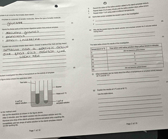 Record the colour of the lodine solution added to the starch-amylase mixture.
6. Repeal steps 3 to 5 every minute until the lodine solution stays yellow-brown.
7 Repeat steps 1 to 6 using water of different temperatures.
mylase is an enzyme that breaks down starch.
(d) Name two controf variables the student used in the investigation.
_
Amylase is a polymer of smaller molecules. Name the type of smaller molecule
_`
_
(2)
(1) 2
Name the three parts of the buman digestive system that produce amylase.
2 __(e) Why did the student leave the starch solution and amylase solution for 5 minutes before
mixing them?
1
_
(1)
(2)
J
Explain how amylase breaks down starch. Answer in terms of the 'lock and key theory'. 
_
_
_
_
_
_(3) 
student investigated the effect of temperature on the activity of amytase. 
e figure below used. (f) What conclusion can be made about th
20°C and 65°C?
_
(1
(g) Explain the results at 5°C and st 80°C
Use the table above.
_
is the method used.
_
Set up the apparatus as shown in the figure above.
After 5 minutes, pour the starch solution into the amylase solution and mix,_
_
Remove one drop of the starch-amylase mixture and place onto a spotting tile.
Immediately add two drops of iodine solution to the starch-amylase mixture on the spotting tife.
Page 2 of 10
Page 1 of 10