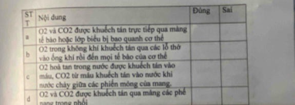 nang trong nhổi