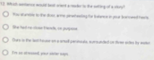 Which aestence would best orent a nader ts the selting of a 10.ry^2
You stamble to the door wnne pinwheeling fa I wance in your bonneef hee's
Ske had he close thewd, on purpose
Ours in the last house on a smail pernsule, surounded on fvee sides by eater
Des se atwed your ntlen augs