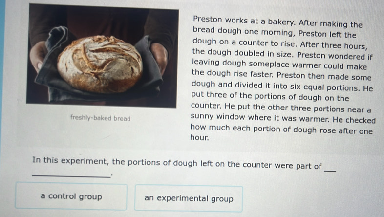 Preston works at a bakery. After making the 
bread dough one morning, Preston left the 
dough on a counter to rise. After three hours, 
the dough doubled in size. Preston wondered if 
leaving dough someplace warmer could make 
the dough rise faster. Preston then made some 
dough and divided it into six equal portions. He 
put three of the portions of dough on the 
counter. He put the other three portions near a 
freshly-baked bread sunny window where it was warmer. He checked 
how much each portion of dough rose after one
hour. 
_ 
In this experiment, the portions of dough left on the counter were part of 
_ 
a control group an experimental group