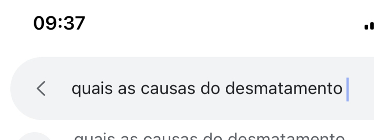 09:37
quais as causas do desmatamento