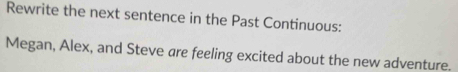 Rewrite the next sentence in the Past Continuous: 
Megan, Alex, and Steve are feeling excited about the new adventure.