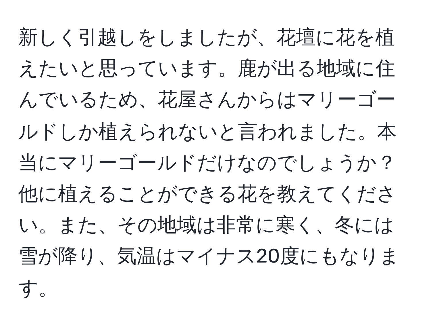 新しく引越しをしましたが、花壇に花を植えたいと思っています。鹿が出る地域に住んでいるため、花屋さんからはマリーゴールドしか植えられないと言われました。本当にマリーゴールドだけなのでしょうか？他に植えることができる花を教えてください。また、その地域は非常に寒く、冬には雪が降り、気温はマイナス20度にもなります。