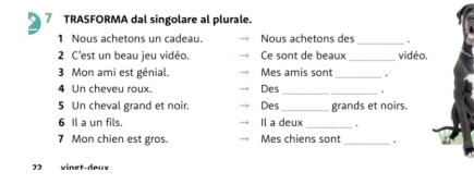 TRASFORMA dal singolare al plurale. 
1 Nous achetons un cadeau. Nous achetons des _。 
2 C'est un beau jeu vidéo. Ce sont de beaux _vidéo, 
3 Mon ami est génial. Mes amis sont _. 
4 Un cheveu roux. Des_ 
5 Un cheval grand et noir. Des _grands et noirs. 
6 Il a un fils. Il a deux _. 
7 Mon chien est gros. Mes chiens sont _. 
22 vinet-deux