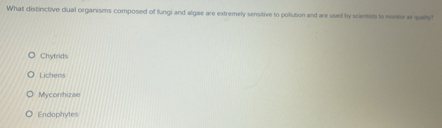 What distinctive dual organisms composed of fungi and algae are extremely sensitive to pollution and are used by scientists to monitor air qualily!
Chytrids
Lichens
Mycorrhizae
Endophytes