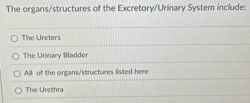 The organs/structures of the Excretory/Urinary System include:
The Ureters
The Urinary Bladder
All of the organs/structures listed here
The Urethra