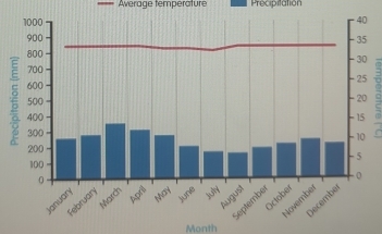 Average temperature Precipitation 
Month