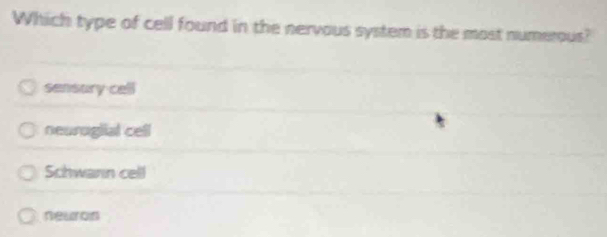 Which type of cell found in the nervous system is the most numerous?
sensury cell
neuroglial cell
Schwann cell
neuron