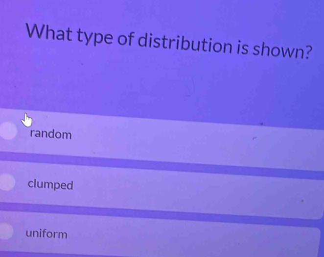 What type of distribution is shown?
random
clumped
uniform