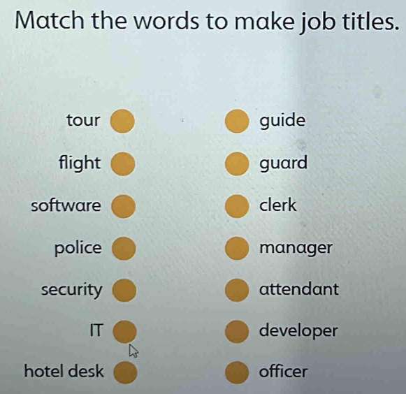 Match the words to make job titles.
tour guide
flight guard
software clerk
police manager
security attendant
IT developer
hotel desk officer