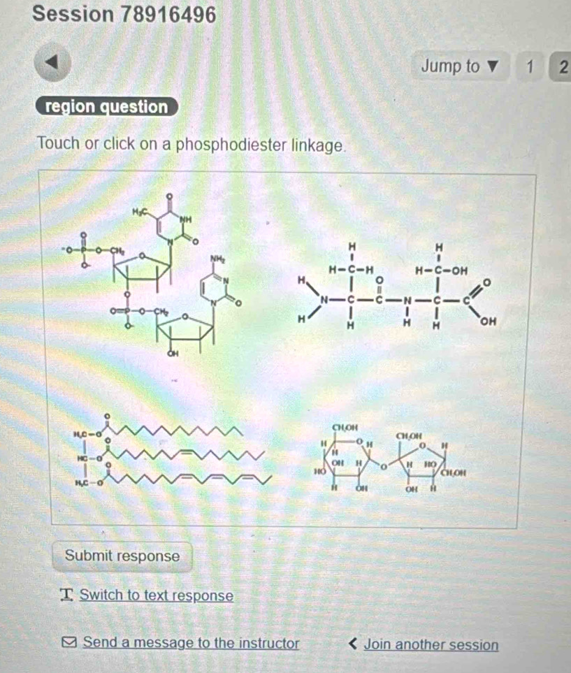 Session 78916496 
Jump to 1 2 
region question 
Touch or click on a phosphodiester linkage. 
Submit response 
Switch to text response 
Send a message to the instructor Join another session