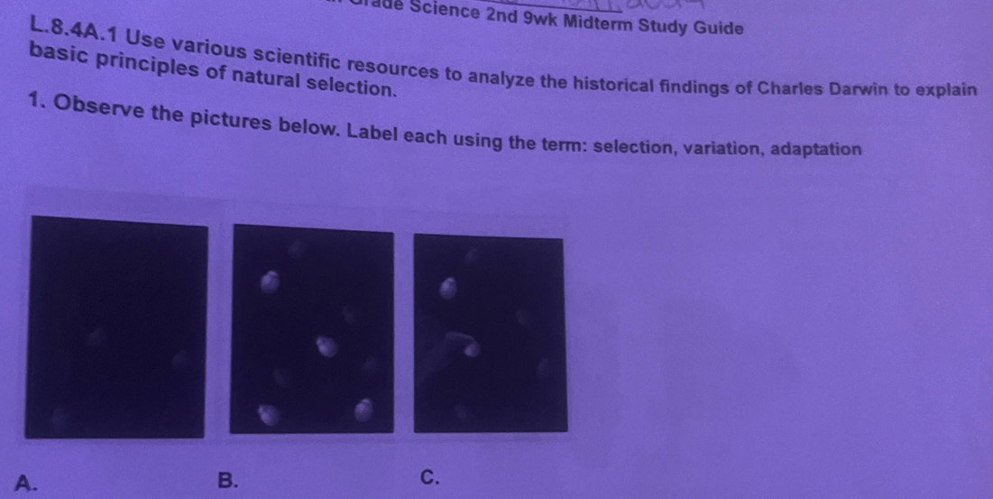 ade Science 2nd 9wk Midterm Study Guide 
L.8.4A.1 Use various scientific resources to analyze the historical findings of Charles Darwin to explain 
basic principles of natural selection. 
1. Observe the pictures below. Label each using the term: selection, variation, adaptation 
A. 
B. 
C.