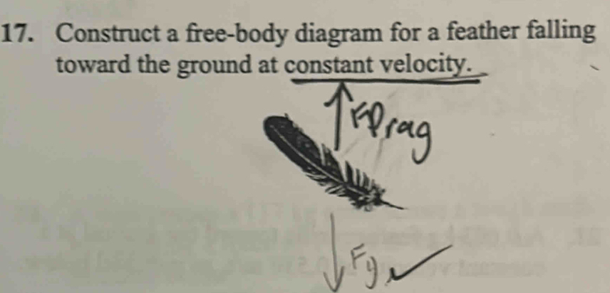 Construct a free-body diagram for a feather falling 
toward the ground at constant velocity.