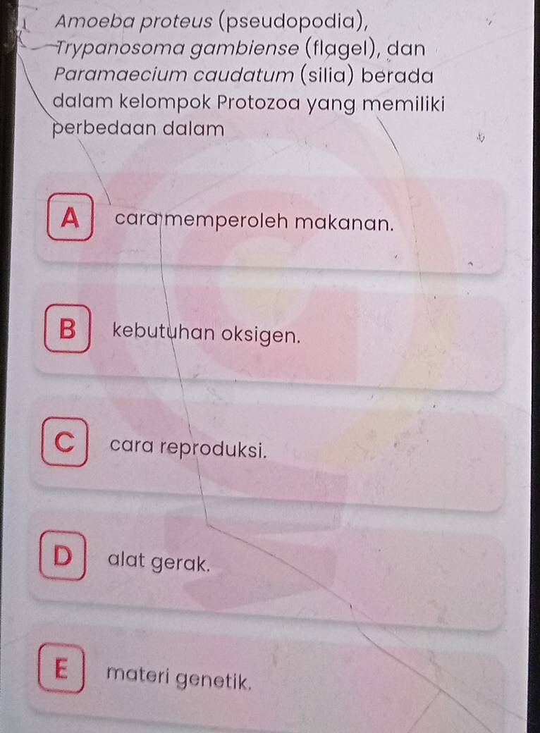 Amoeba proteus (pseudopodia),
Trypanosoma gambiense (flạgel), dan
Paramaecium caudatum (silia) berada
dalam kelompok Protozoa yang memiliki
perbedaan dalam
A cara memperoleh makanan.
B kebutuhan oksigen.
C cara reproduksi.
D alat gerak.
E materi genetik.