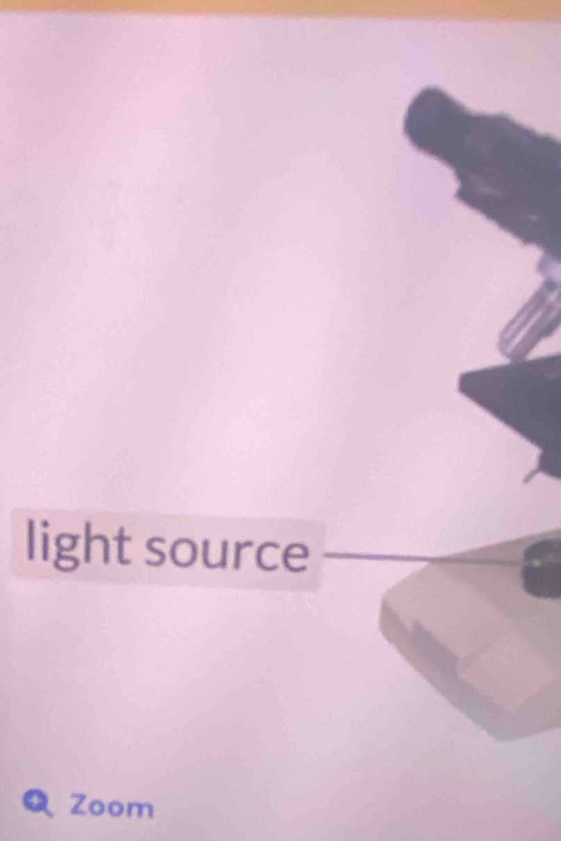 light source 
Q Zoom