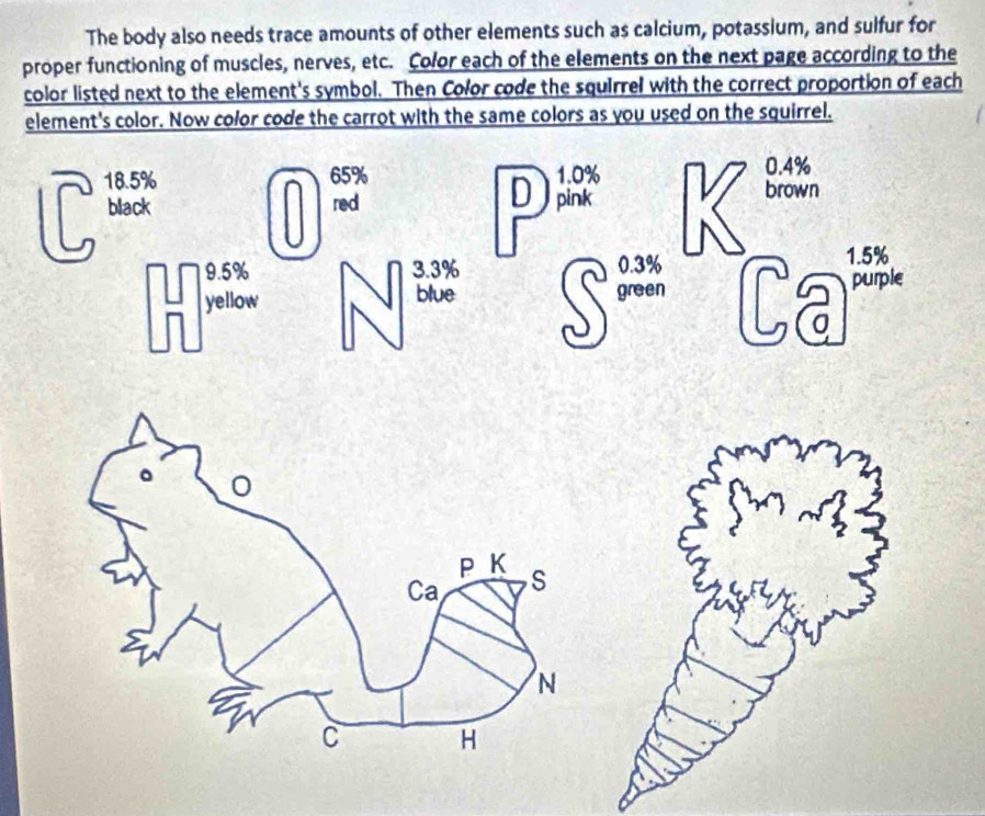 The body also needs trace amounts of other elements such as calcium, potassium, and sulfur for 
proper functioning of muscles, nerves, etc. Color each of the elements on the next page according to the 
color listed next to the element's symbol. Then Color code the squirrel with the correct proportion of each 
element's color. Now color code the carrot with the same colors as you used on the squirrel.
18.5% 65% 1.0%
0.4%
D 
black red pink brown
9.5% 3.3% 0.3%
yellow blue green Ca 1.5% purple