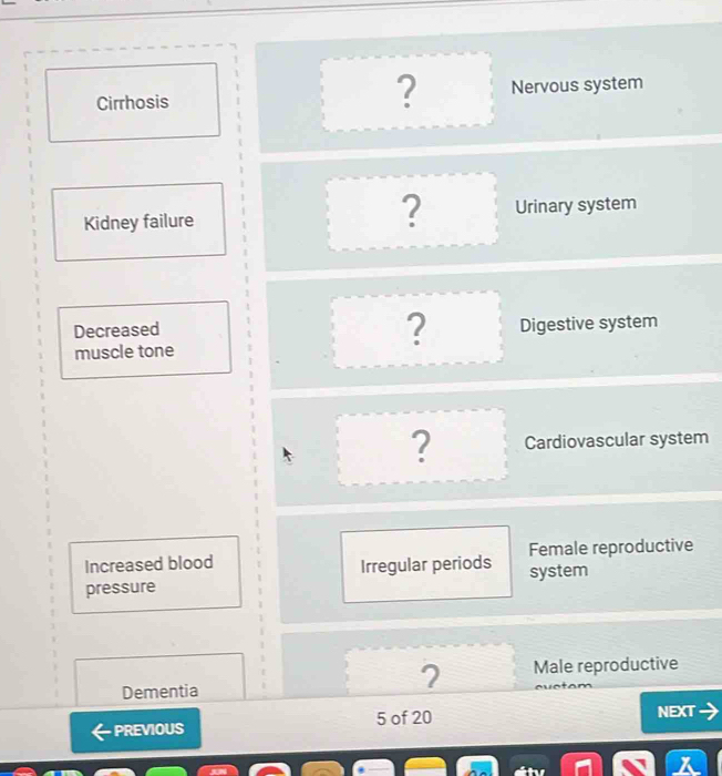 ?
Cirrhosis Nervous system
?
Kidney failure Urinary system
Decreased
?
muscle tone Digestive system
? Cardiovascular system
Increased blood Female reproductive
Irregular periods
pressure system
Dementia
? Male reproductive
PREVIOUS 5 of 20 NEXT