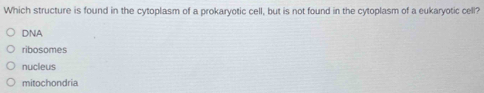 Which structure is found in the cytoplasm of a prokaryotic cell, but is not found in the cytoplasm of a eukaryotic cell?
DNA
ribosomes
nucleus
mitochondria