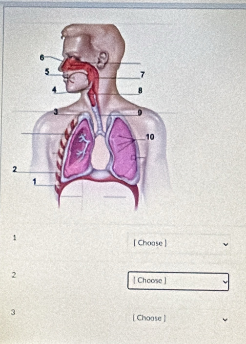 1 
[ Choose ]
2
[ Choose ]
3
[ Choose ]